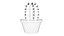 Ornamental Cactus Plants