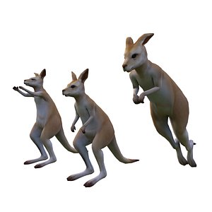 3D kangaroo rigged animation model