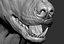3D wolf zbrush