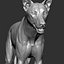 3D wolf zbrush