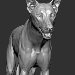 Wolf (1)
