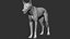 3D wolf zbrush