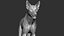 3D wolf zbrush