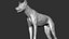 3D wolf zbrush
