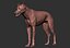 3D wolf zbrush