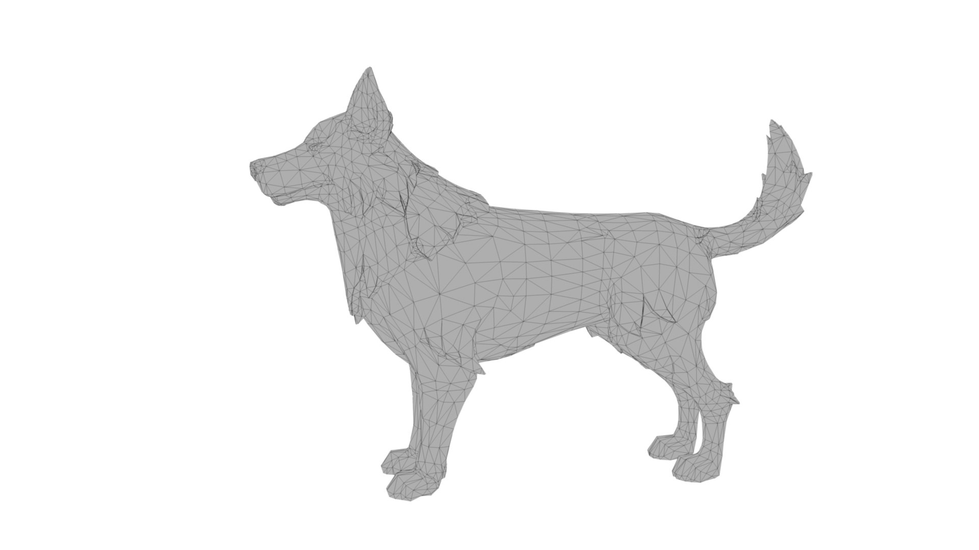 Husky Dog 3D Model - TurboSquid 1953876