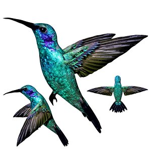Rigged Humming bird