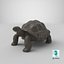 Giant Tortoise Stand Pose 3D model