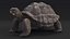 Giant Tortoise Stand Pose 3D model