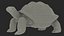 Giant Tortoise Stand Pose 3D model