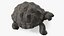 Giant Tortoise Stand Pose 3D model