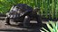 Giant Tortoise Stand Pose 3D model