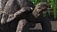 Giant Tortoise Stand Pose 3D model