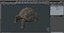 Giant Tortoise Stand Pose 3D model