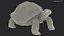 Giant Tortoise Stand Pose 3D model