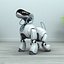 Sony robots - Aibo + Qrio