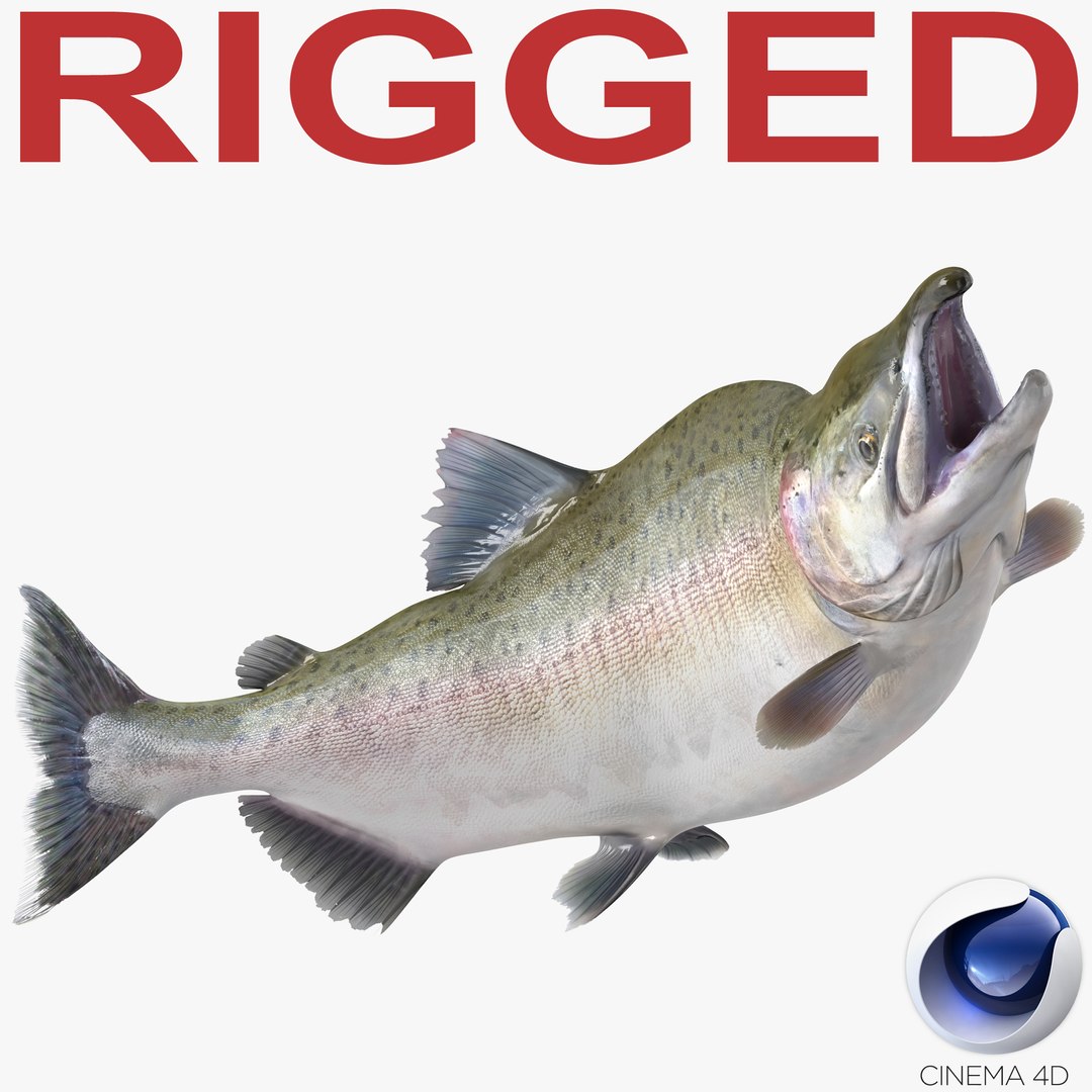 Pink Salmon Rigged for Cinema 4D 3D Model 3D model preview