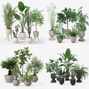 20 Photorealistic Flowers for Interiors - set 119 127 124 126