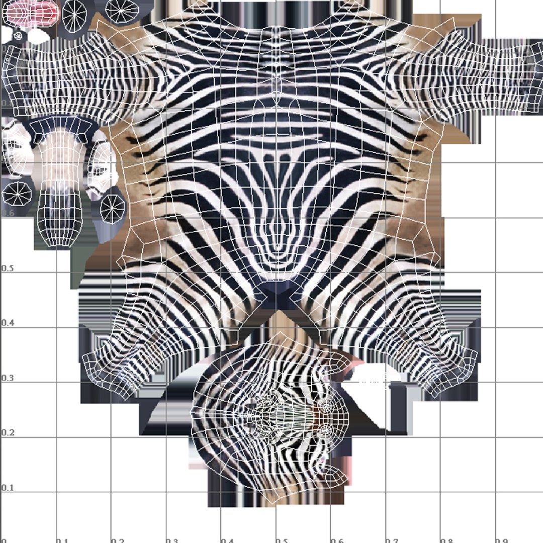 Zebra Model - TurboSquid 2211170
