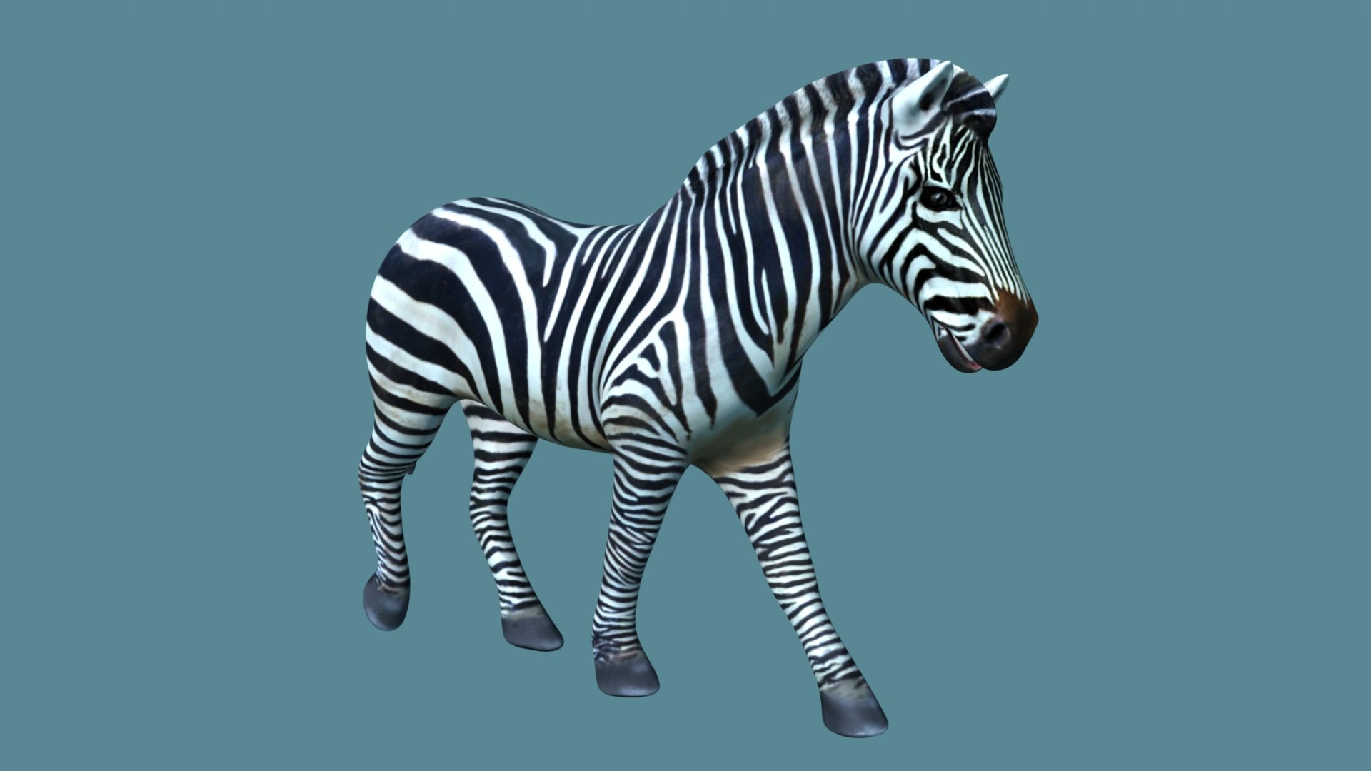Zebra Model - TurboSquid 2211170