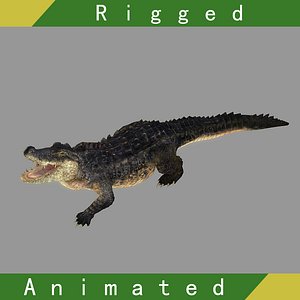 crocodile rigged animation 3D model