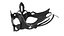 Carnival Mask