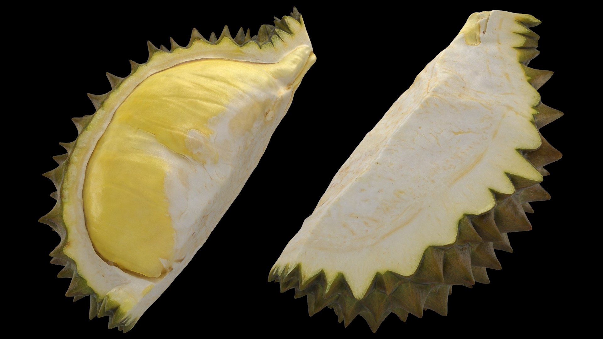 3D Tropical Fruit Collection 01 model https://p.turbosquid.com/ts-thumb/LA/rQmjFC/0X/durianslice01_a0002/jpg/1625153061/1920x1080/fit_q87/f8c4334278fe894b5311564578a6d38cec6194dc/durianslice01_a0002.jpg
