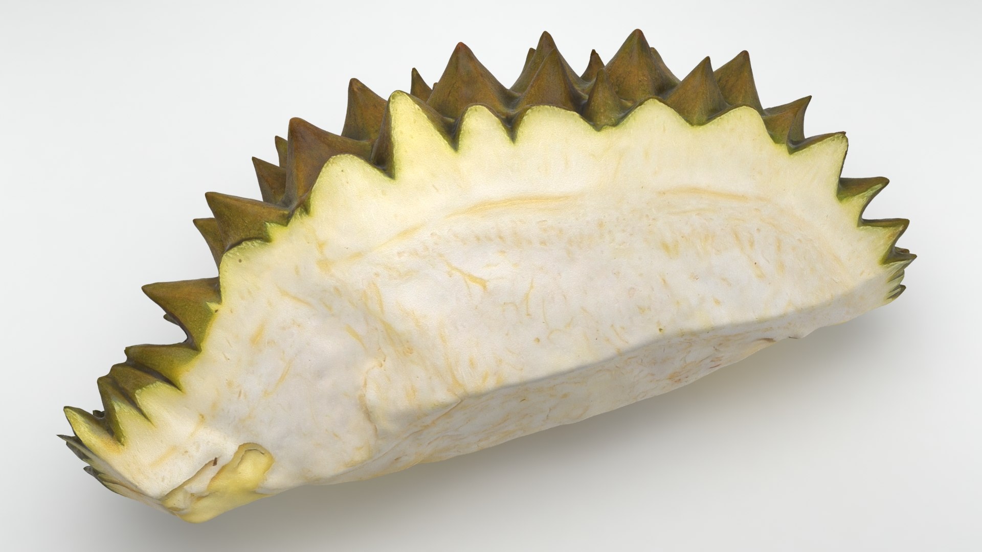 3D Tropical Fruit Collection 01 model https://p.turbosquid.com/ts-thumb/LA/rQmjFC/14/durianslice01_b0002/jpg/1625153133/1920x1080/fit_q87/30473bf89d8497f45a69b1beccf8eaa40def2910/durianslice01_b0002.jpg