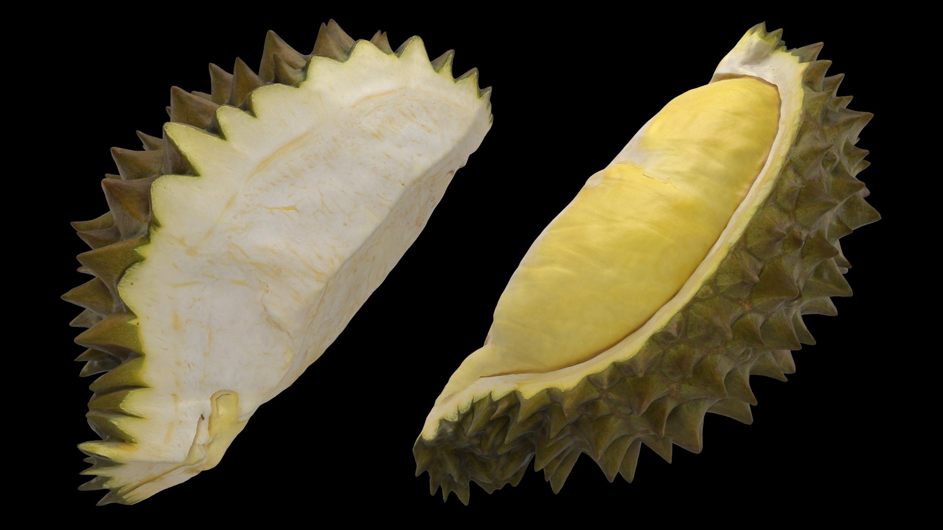3D Tropical Fruit Collection 01 model https://p.turbosquid.com/ts-thumb/LA/rQmjFC/CY/durianslice01_a0003/jpg/1625153062/1920x1080/fit_q87/3001e1ee100e0d93e4ab13934dc052b2542f6929/durianslice01_a0003.jpg