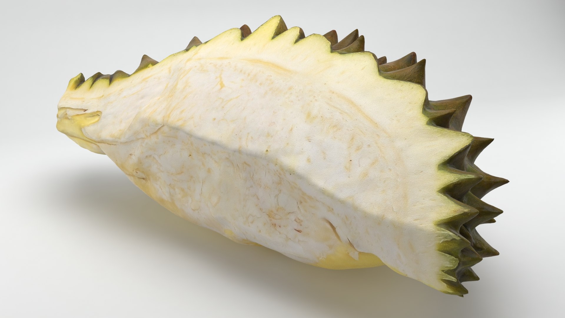 3D Tropical Fruit Collection 01 model https://p.turbosquid.com/ts-thumb/LA/rQmjFC/Dq/durianslice01_b0031/jpg/1625153119/1920x1080/fit_q87/0bf7d8c893997c0369645746a12e969c03045f17/durianslice01_b0031.jpg