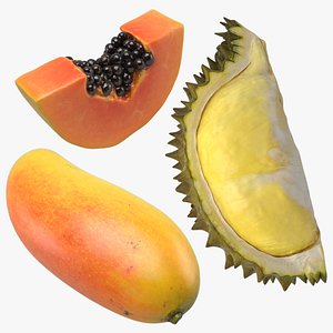 3D Tropical Fruit Collection 01 model