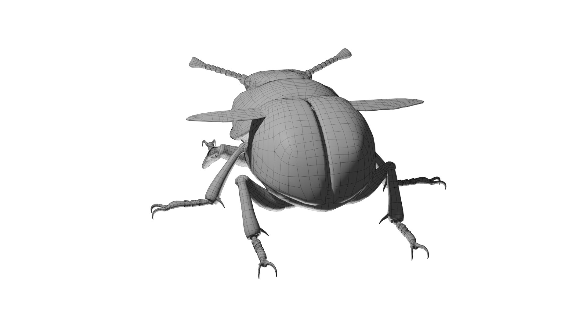 3D Lethrus apterus rigged https://p.turbosquid.com/ts-thumb/LB/R4sPOb/0a/wire2/png/1753190899/1920x1080/fit_q87/33db572fc4ddbb00457ce3b49fcc22400dd2fded/wire2.jpg