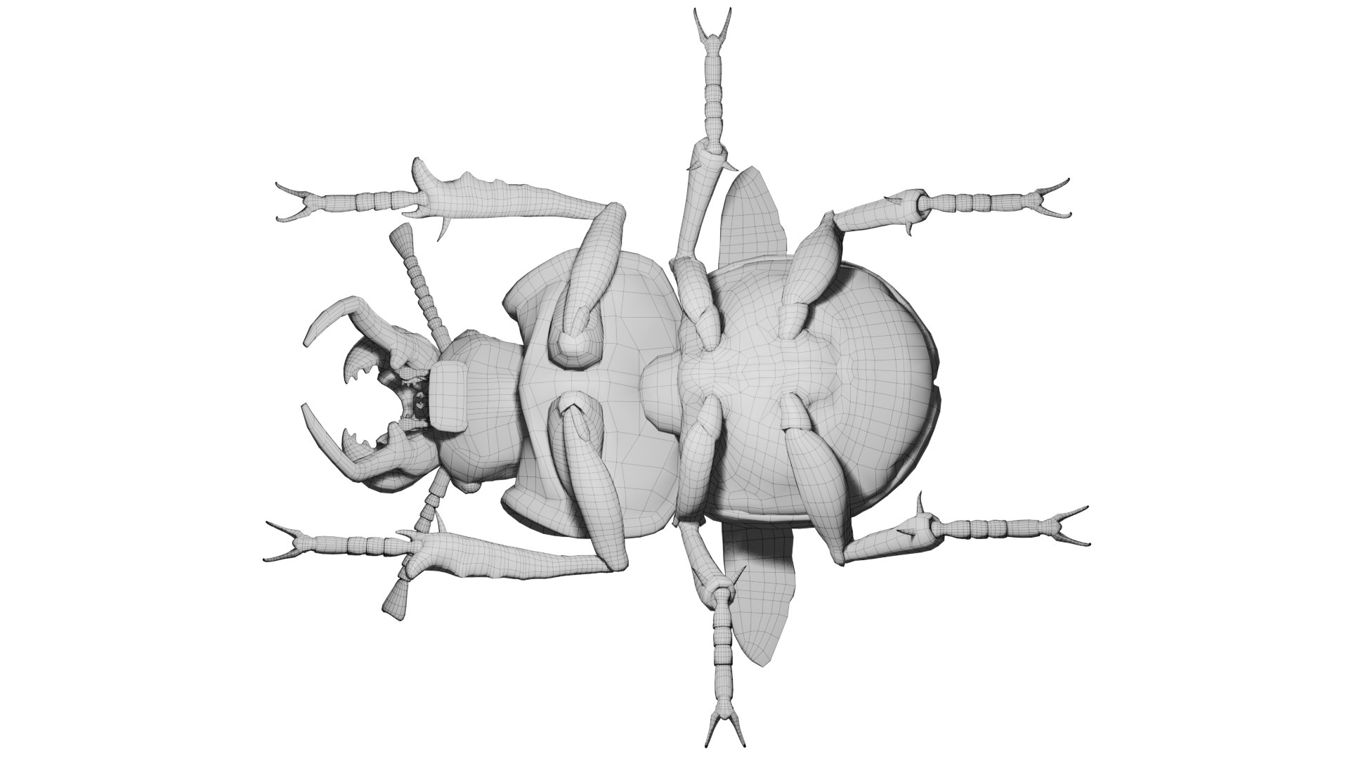 3D Lethrus apterus rigged https://p.turbosquid.com/ts-thumb/LB/R4sPOb/CD/wire1/png/1753190899/1920x1080/fit_q87/cb8d7ffe935ac18371f143821e75aa1b4f459a70/wire1.jpg
