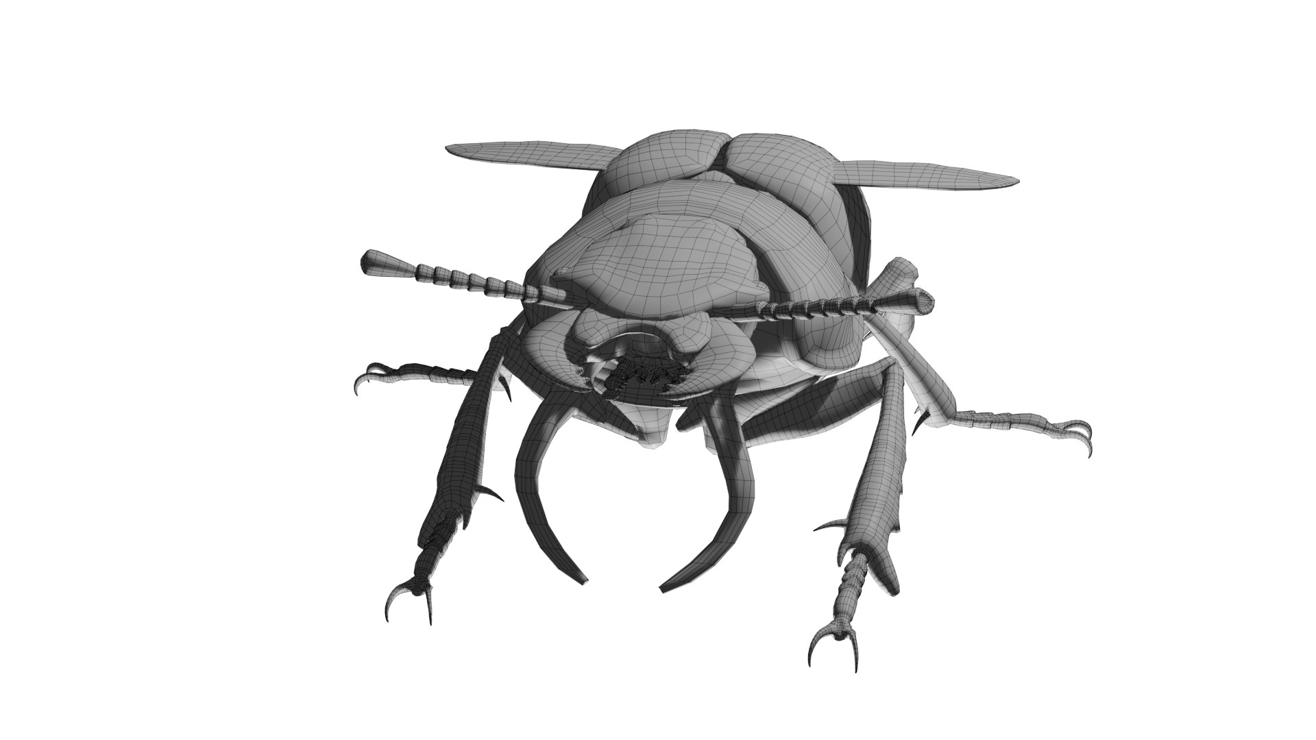 3D Lethrus apterus rigged https://p.turbosquid.com/ts-thumb/LB/R4sPOb/iX/wire3/png/1753190903/1920x1080/fit_q87/b7d443ff937bde45dd824615c98dcd834d7be826/wire3.jpg