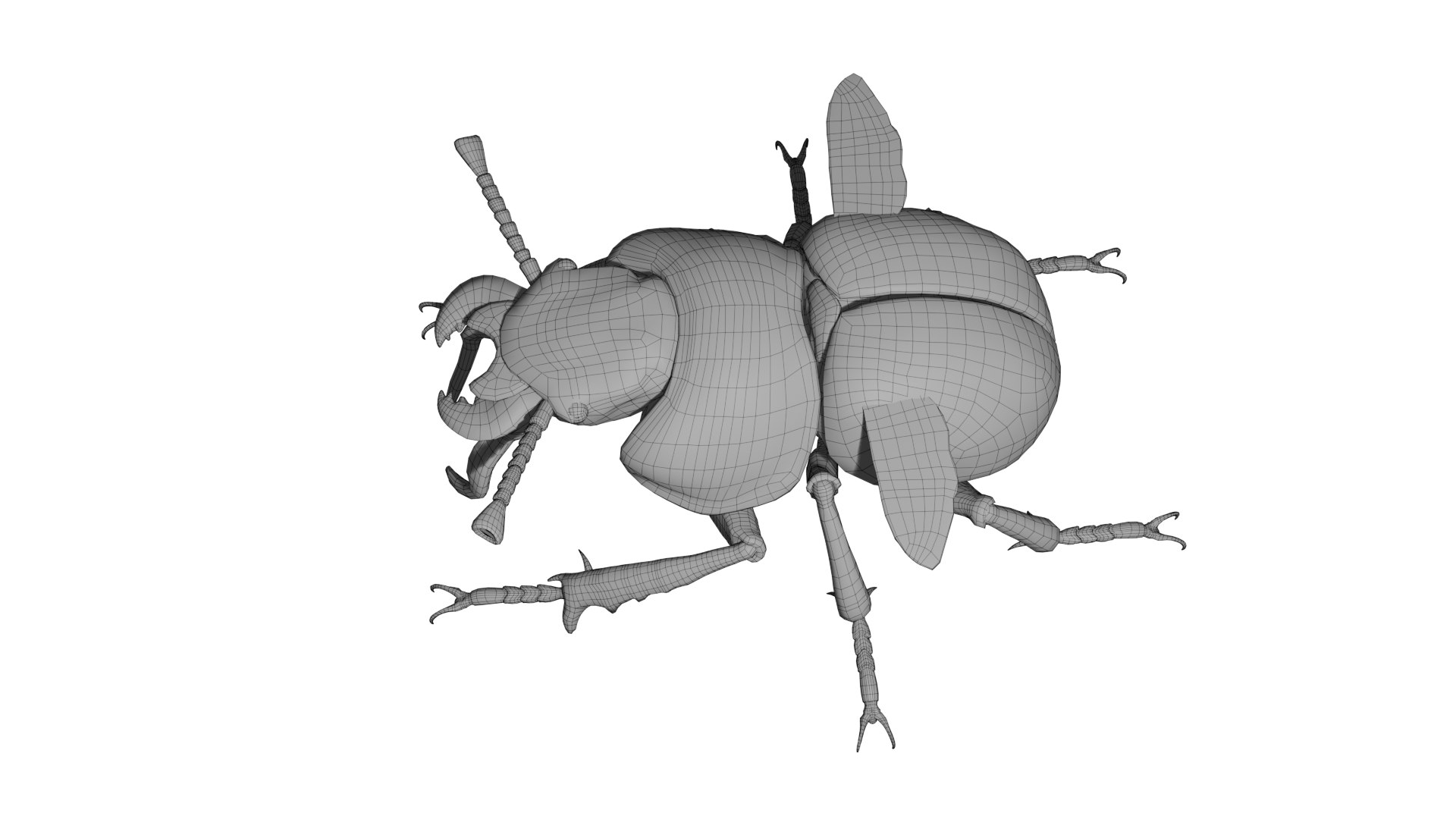 3D Lethrus apterus rigged https://p.turbosquid.com/ts-thumb/LB/R4sPOb/lV/wire/png/1753190899/1920x1080/fit_q87/51332dae4b0a01012a91fbf147f5cb41cb7f7af2/wire.jpg