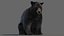 Pelliccia animata dell'orso nero 3D