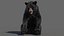Pelliccia animata dell'orso nero 3D