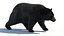 Pelliccia animata dell'orso nero 3D