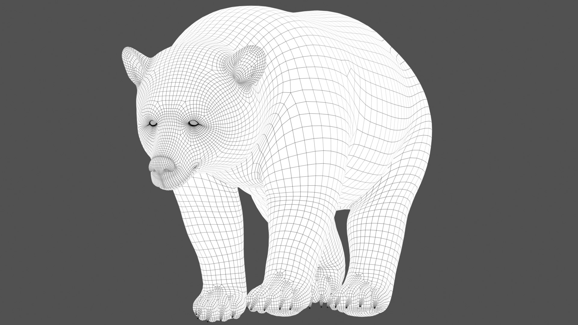 Black Bear Animated Fur 3D model https://p.turbosquid.com/ts-thumb/LB/UGnsHe/hU/black_bear_animated_wire02/jpg/1650264372/1920x1080/fit_q87/45f5a5cd5f95d2b92085e454f9288a2b62cdc34c/black_bear_animated_wire02.jpg