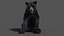 Pelliccia animata dell'orso nero 3D