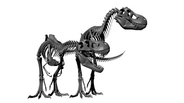 modelo 3d T.rex 2 Skeleton Rig gratis - TurboSquid 889986