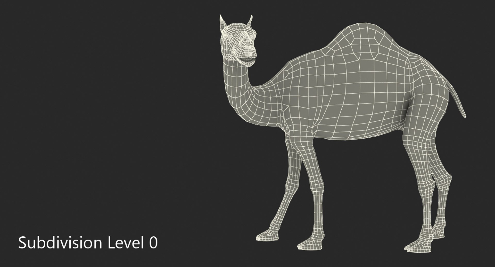 3d max camel rigged fur https://p.turbosquid.com/ts-thumb/LB/ZbPLKK/6pUzZlY6/camelriggedwithfurmb3dmodel018/jpg/1487160289/1920x1080/fit_q87/f770408da9a14bdd1f527454efb3ce59cad87cbc/camelriggedwithfurmb3dmodel018.jpg