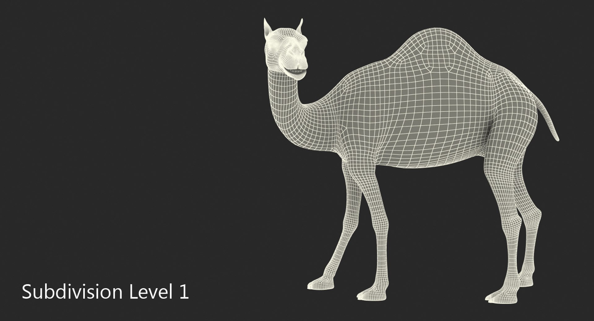 3d max camel rigged fur https://p.turbosquid.com/ts-thumb/LB/ZbPLKK/9Z5xWJBe/camelriggedwithfurmb3dmodel019/jpg/1487160289/1920x1080/fit_q87/1700adede37f15db5d563b0795eb7c2773174ee3/camelriggedwithfurmb3dmodel019.jpg