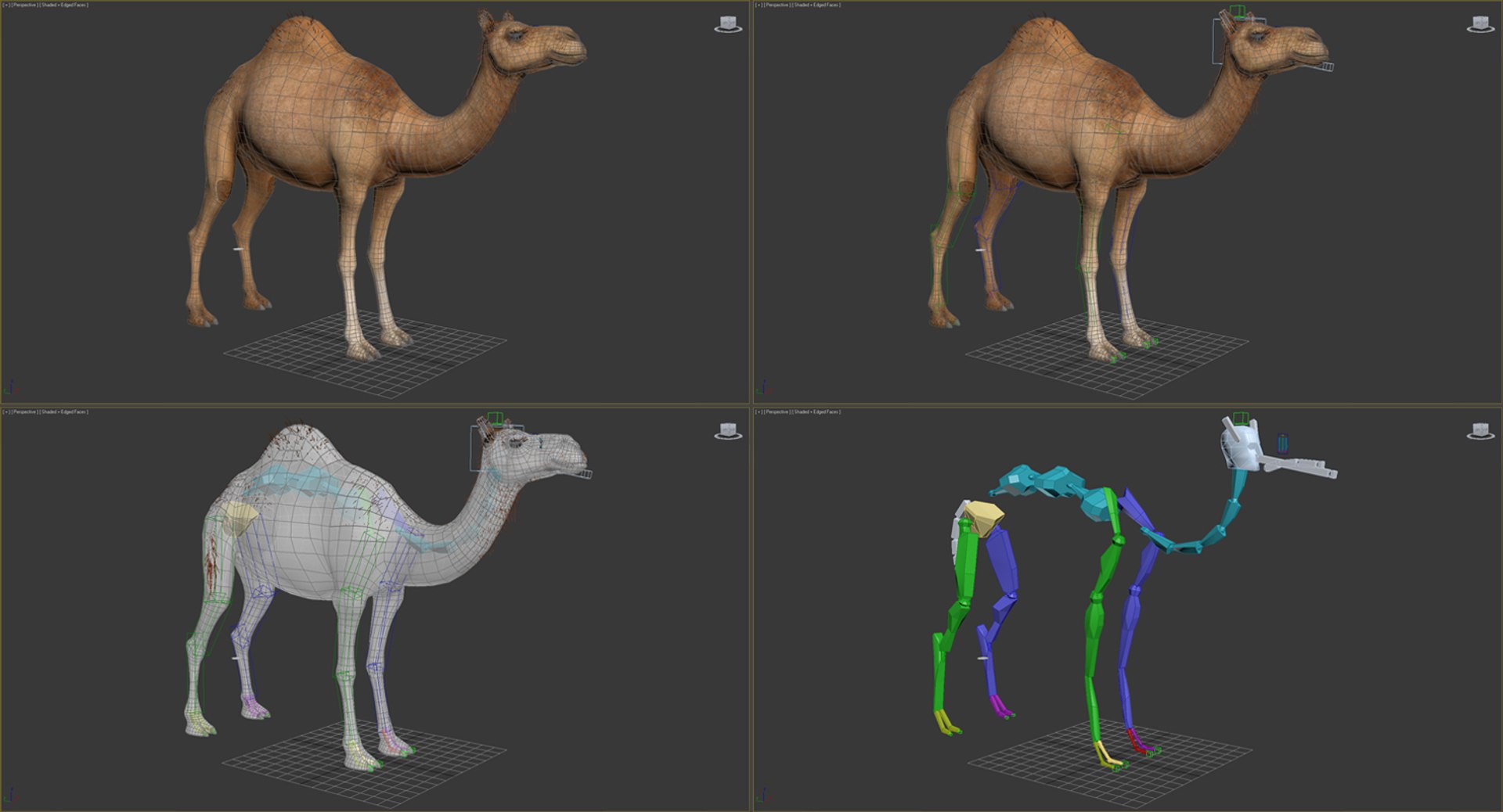 3d max camel rigged fur https://p.turbosquid.com/ts-thumb/LB/ZbPLKK/T42lFn3D/camelriggedwithfurmb3dmodel020/jpg/1487160289/1920x1080/fit_q87/69b371d6640f521c570d6e4306c0dfe10d615911/camelriggedwithfurmb3dmodel020.jpg