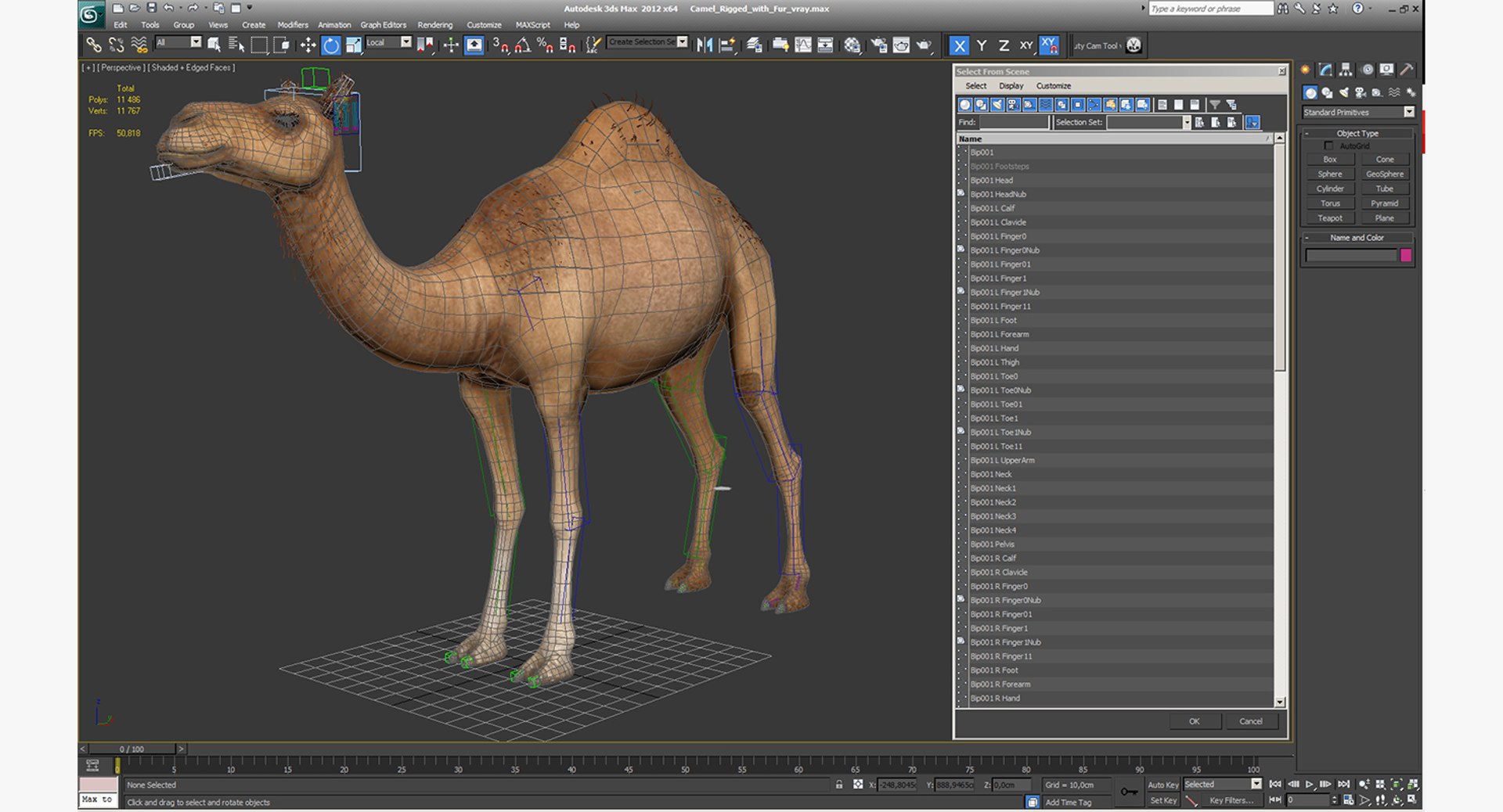 3d max camel rigged fur