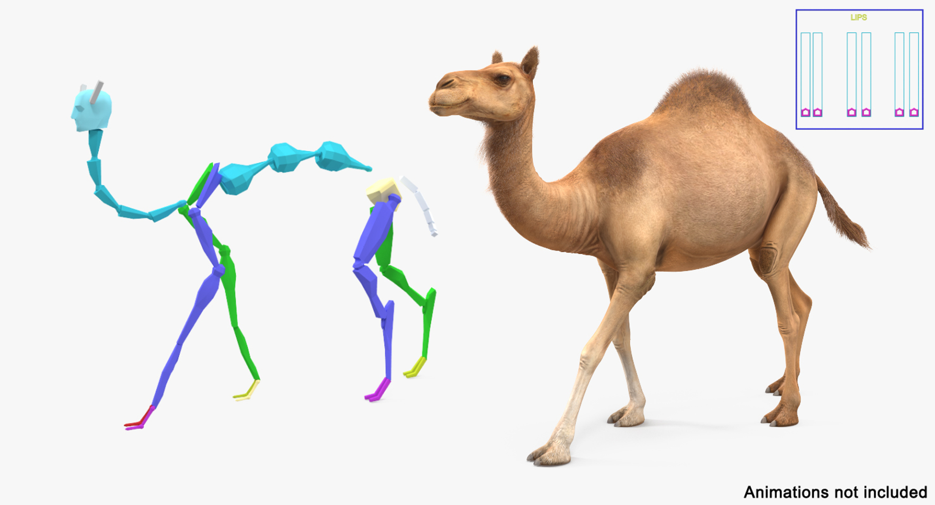 3d max camel rigged fur https://p.turbosquid.com/ts-thumb/LB/ZbPLKK/cVMdiWnF/camel_rigged_with_fur_362/jpg/1487160530/1920x1080/turn_fit_q99/32972527ddc28646fd793dd0772e9cfa2d8380eb/camel_rigged_with_fur_362-1.jpg