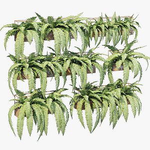 3D Planter box fern model