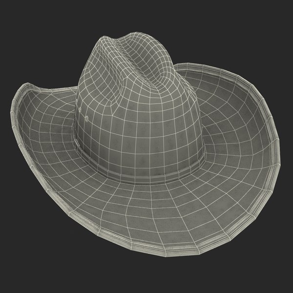 3d cowboy hat