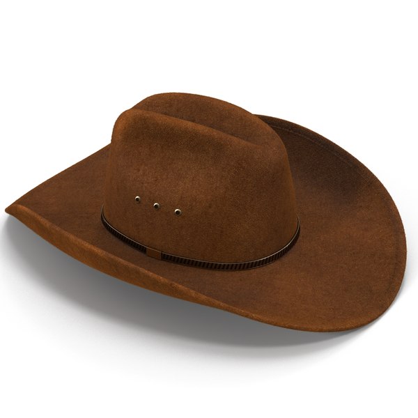 3d cowboy hat