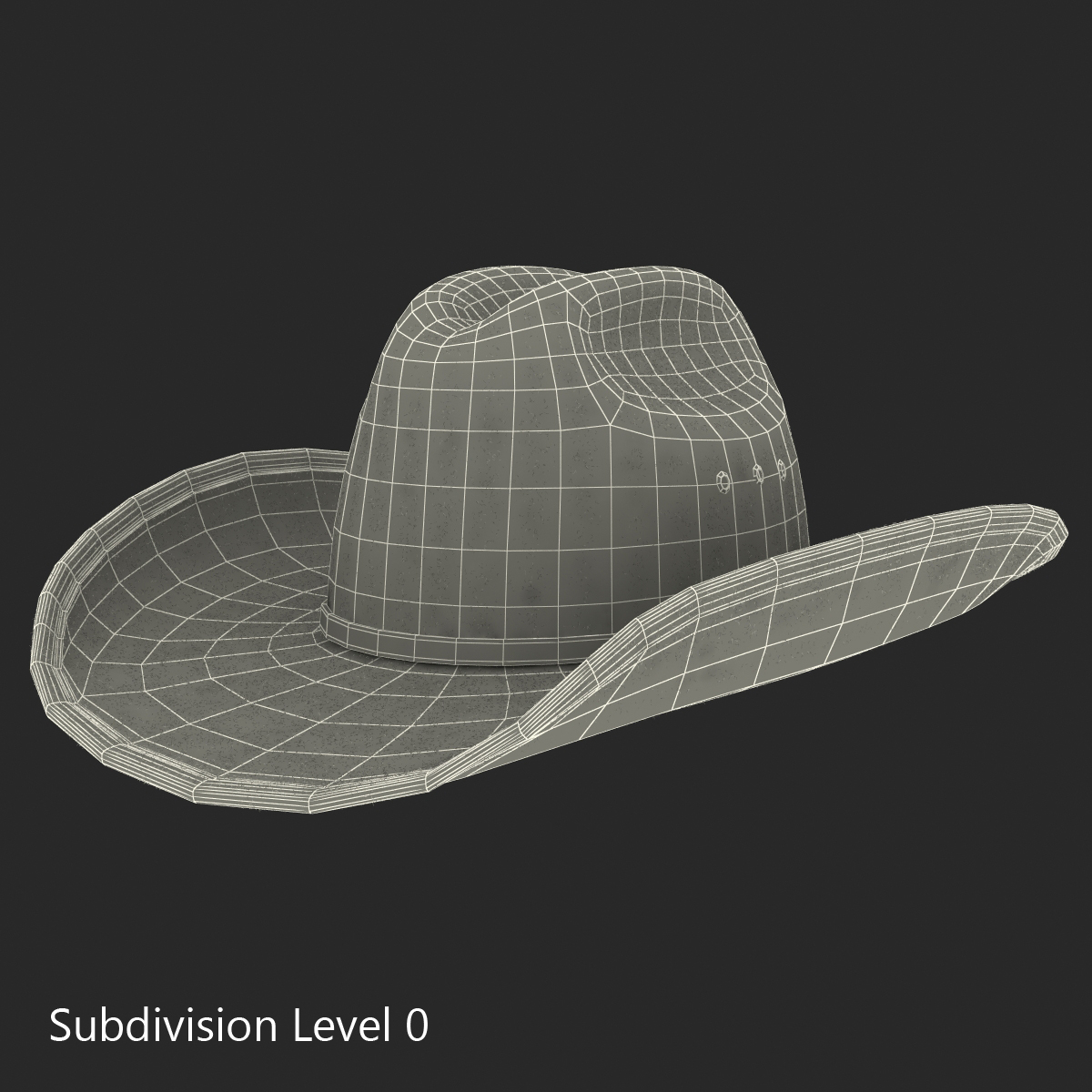 3d cowboy hat